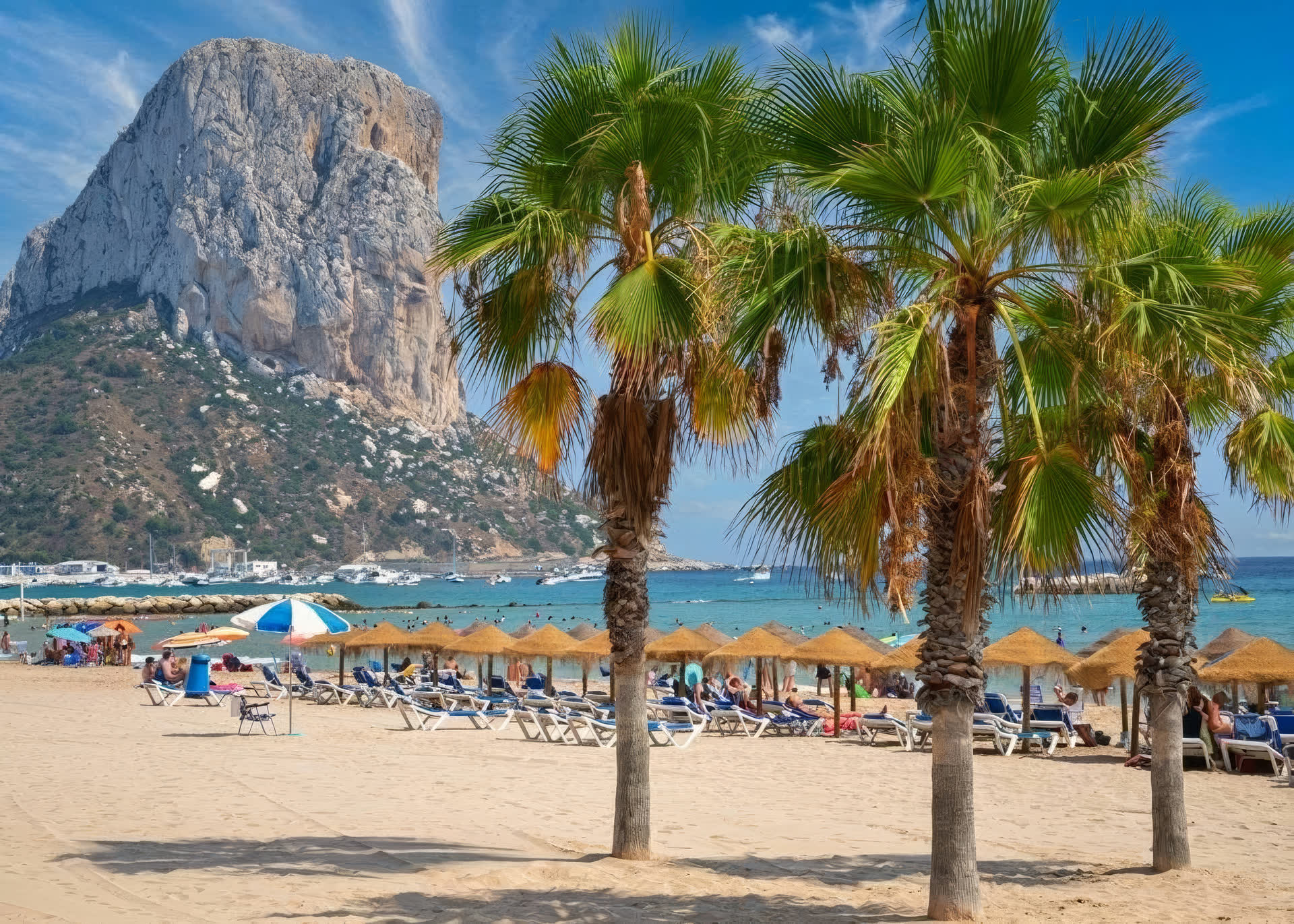 Palms on the beach under the Peñón de Ifach, Calpe