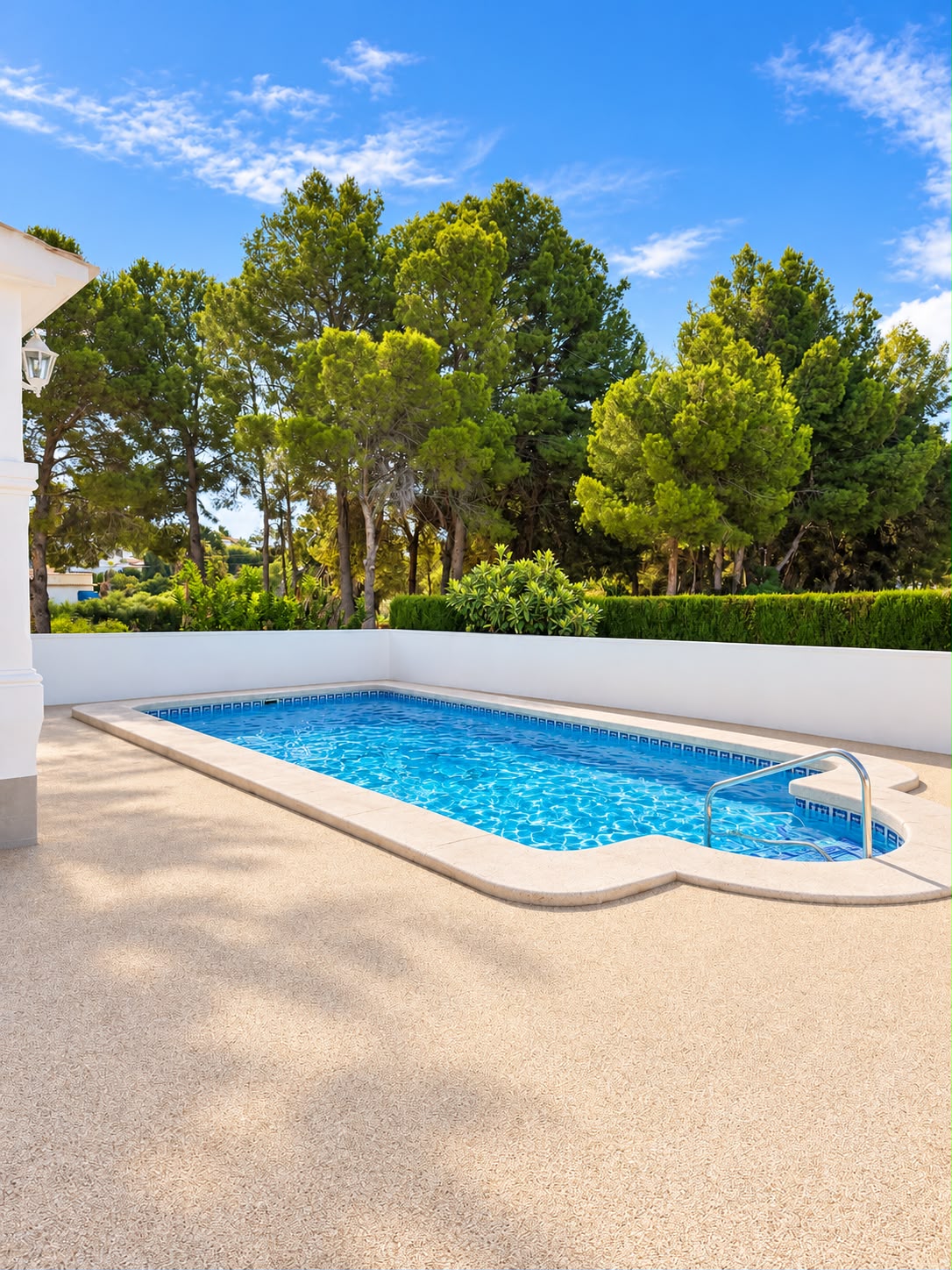 The private pool, with pines behind the wall